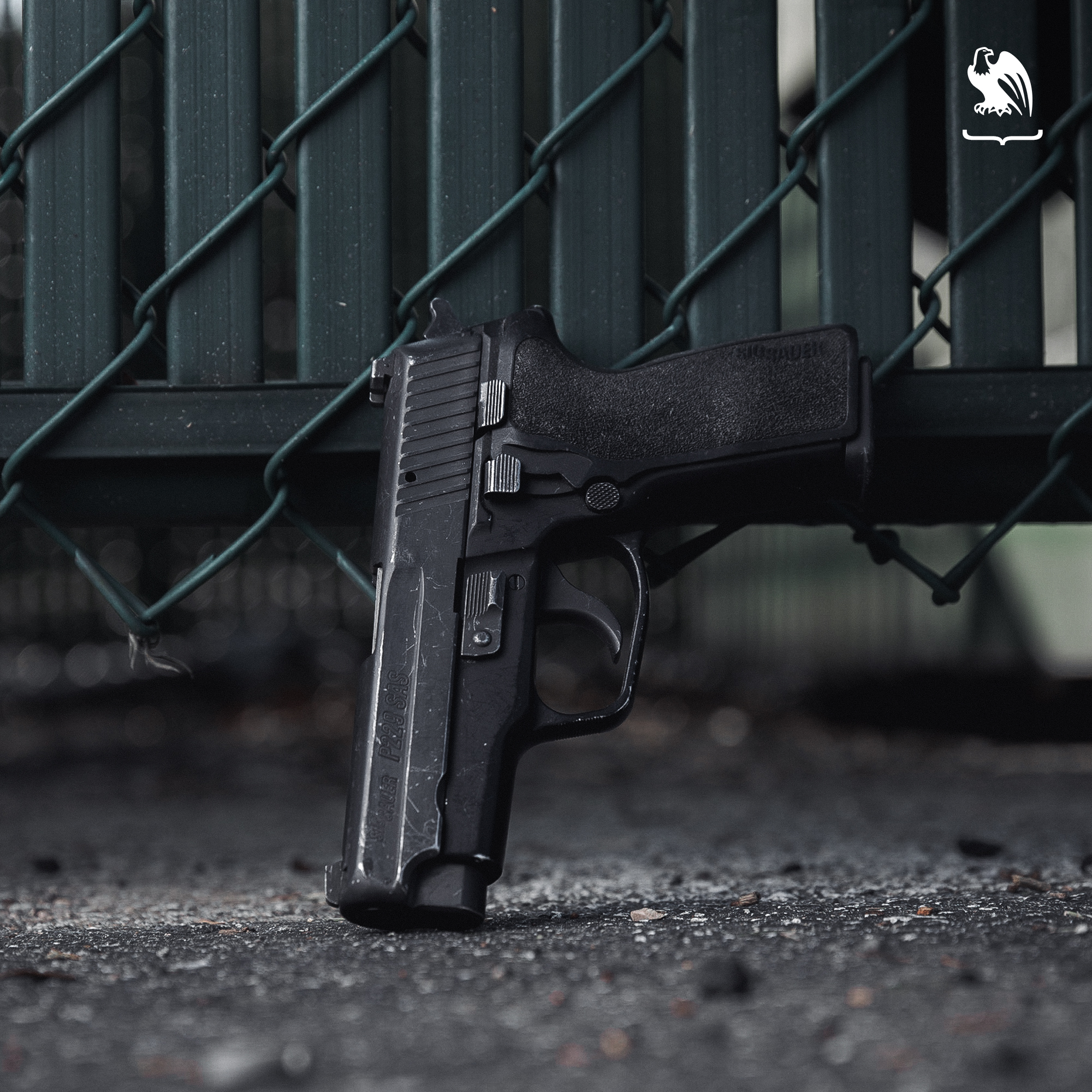 Sig Sauer P229