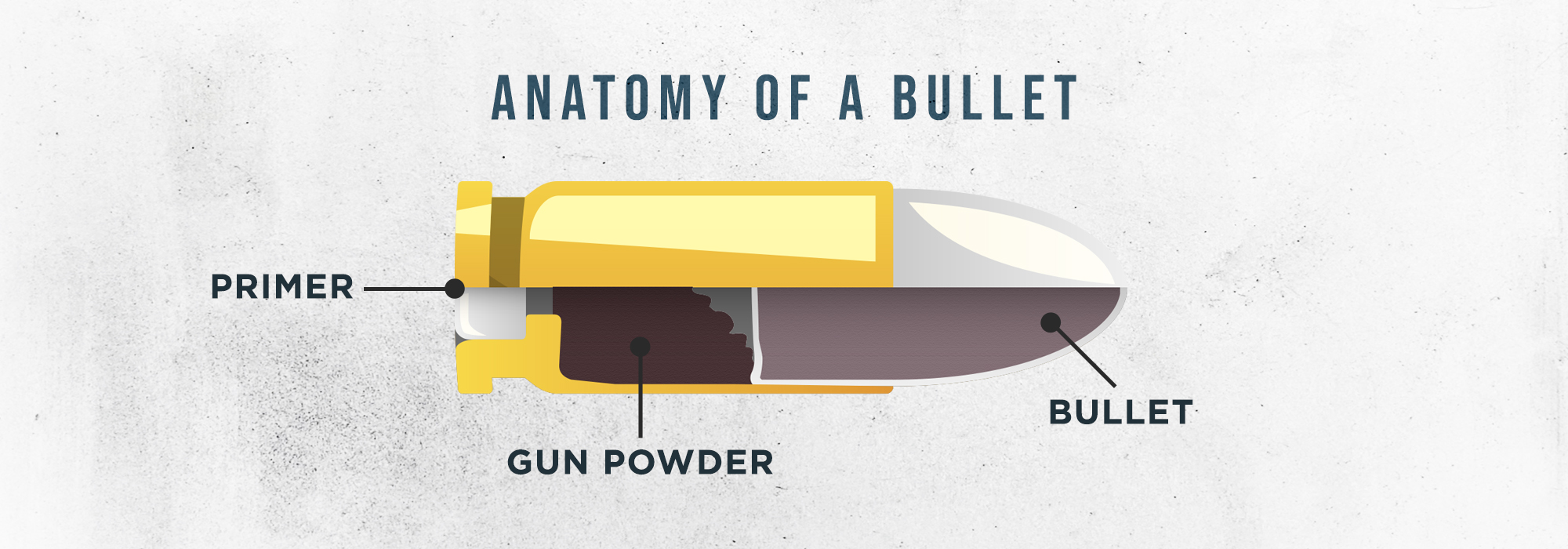 Bullet Anatomy - Visual explanation of the anatomy of a bullet