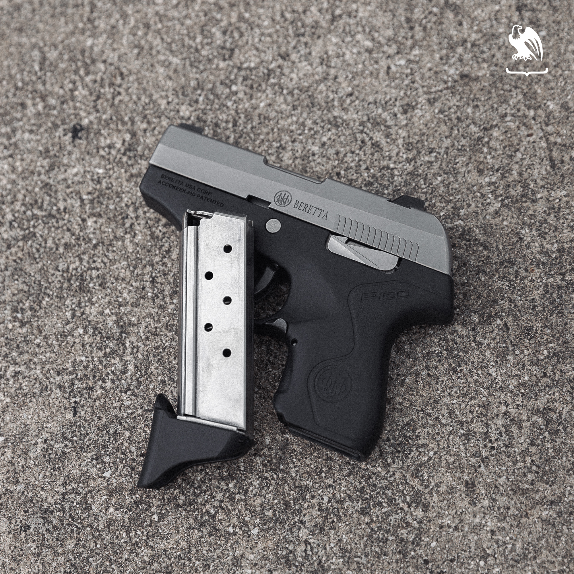 Generic Image - P365 Handgun and Mag