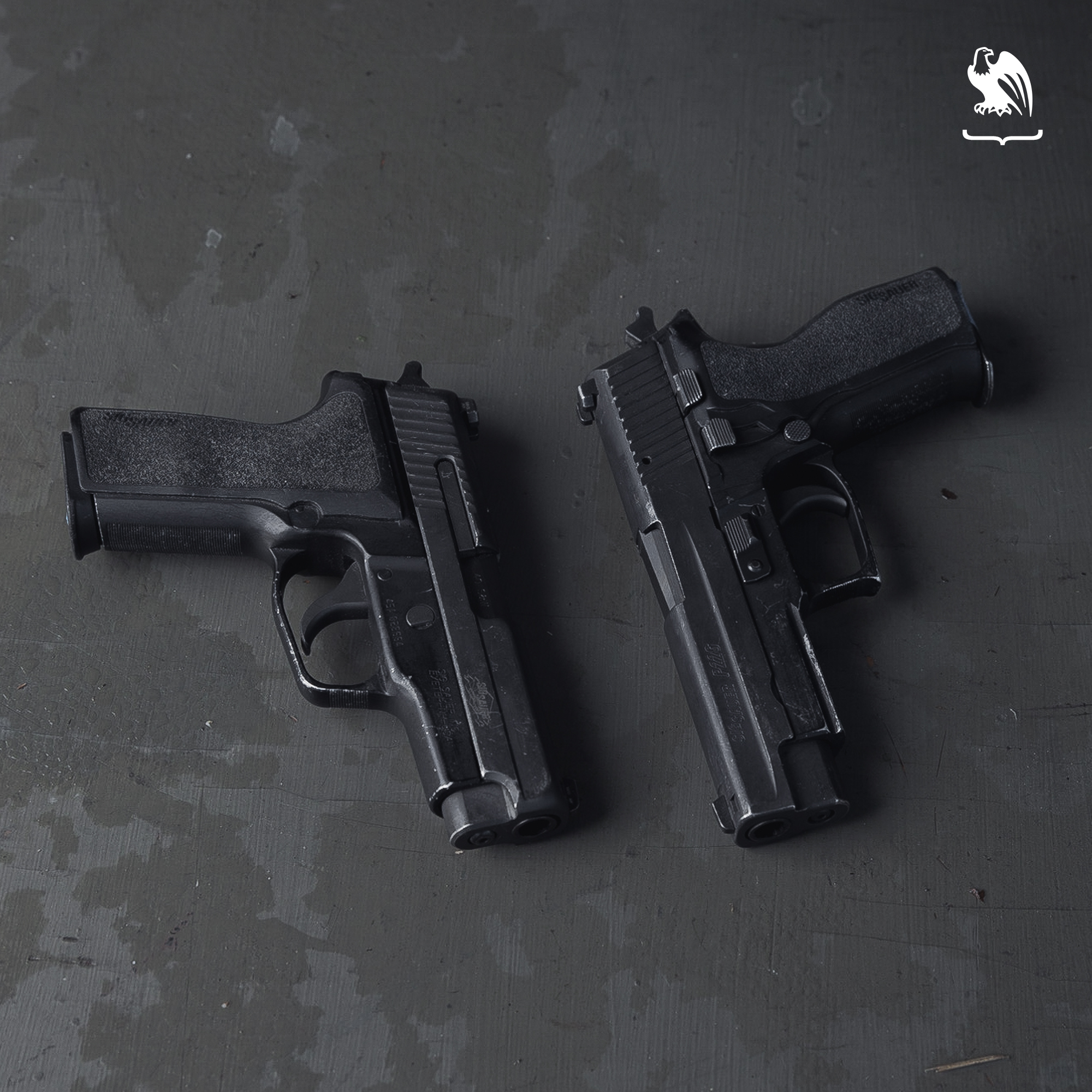 Which is Right for Me? Sig P226 or Sig P229